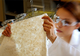 Research and development facilities at evolution sorbent products Chicago